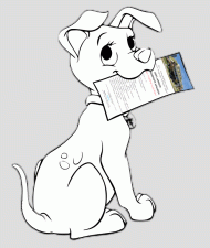College Dog